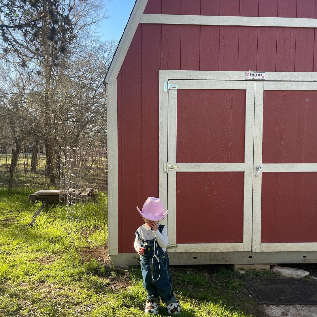 Week 2 of The Homesteading Journey: Prepping for the freeze and Planting for the future